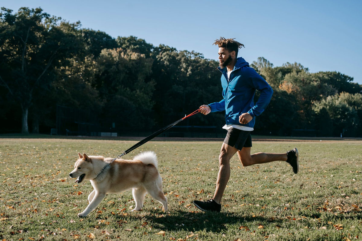 Man running with a dog on grass
