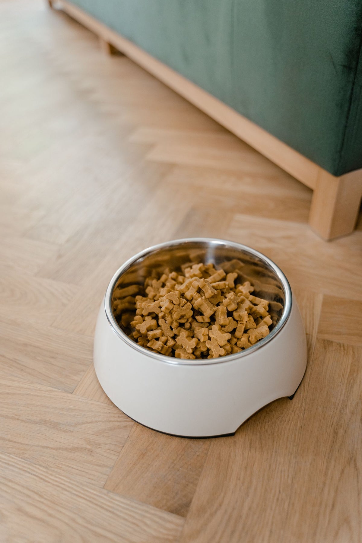 Bowl of dry dog food on a wooden floor