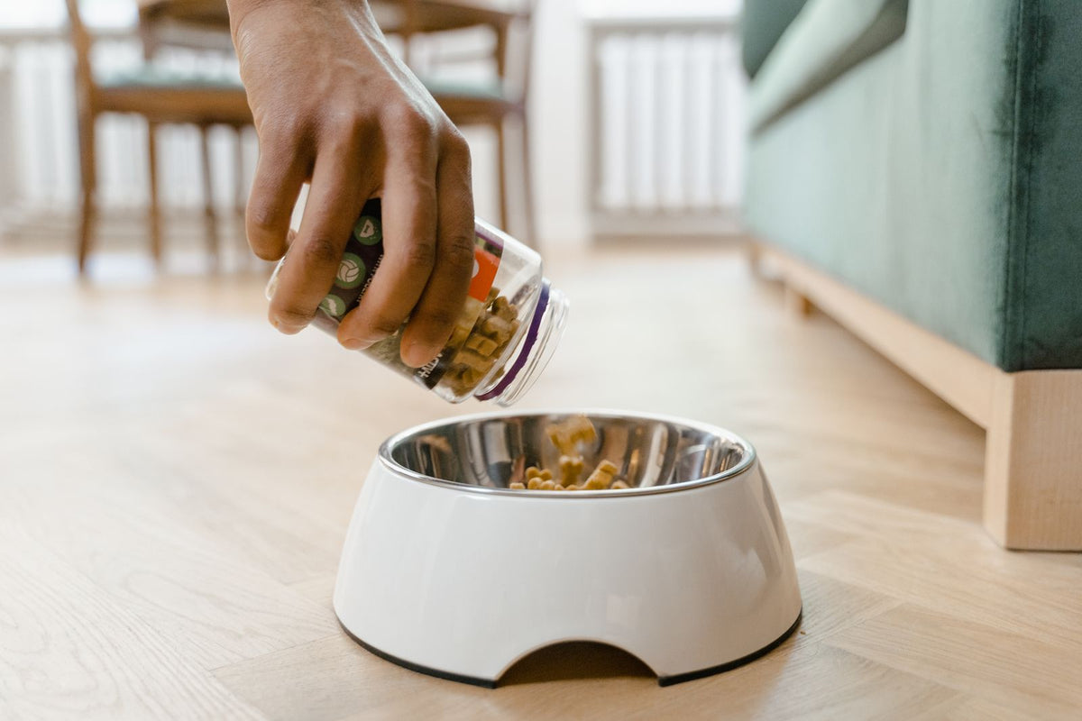 Hand pouring dog food into a white bowl