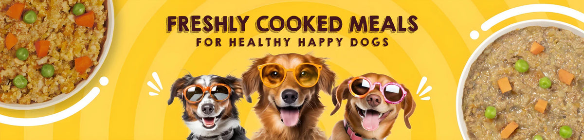Dog collection banner